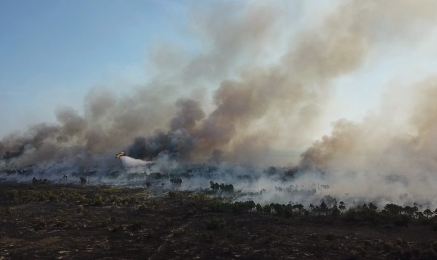 Pyjet e Pishporos prej 8 ditësh në flakë, avioni grek dhe qindra ushtarë e zjarrfikës po punojnë për shuarjen e zjarrit