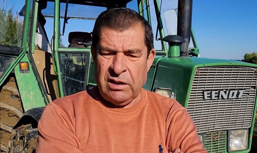 Ismet Gega, fermeri fierak që punon mbi 150 hektarë tokë të mbjella me grurë e misër
